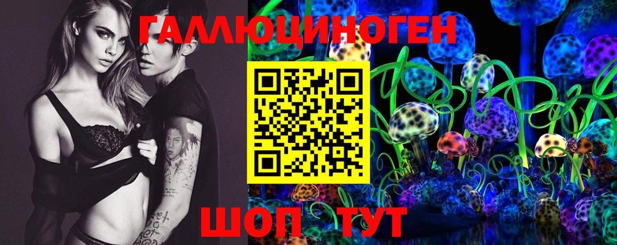 Псилоцибиновые грибы Psilocybine cubensis  Вход с VPN  Гусиноозёрск 